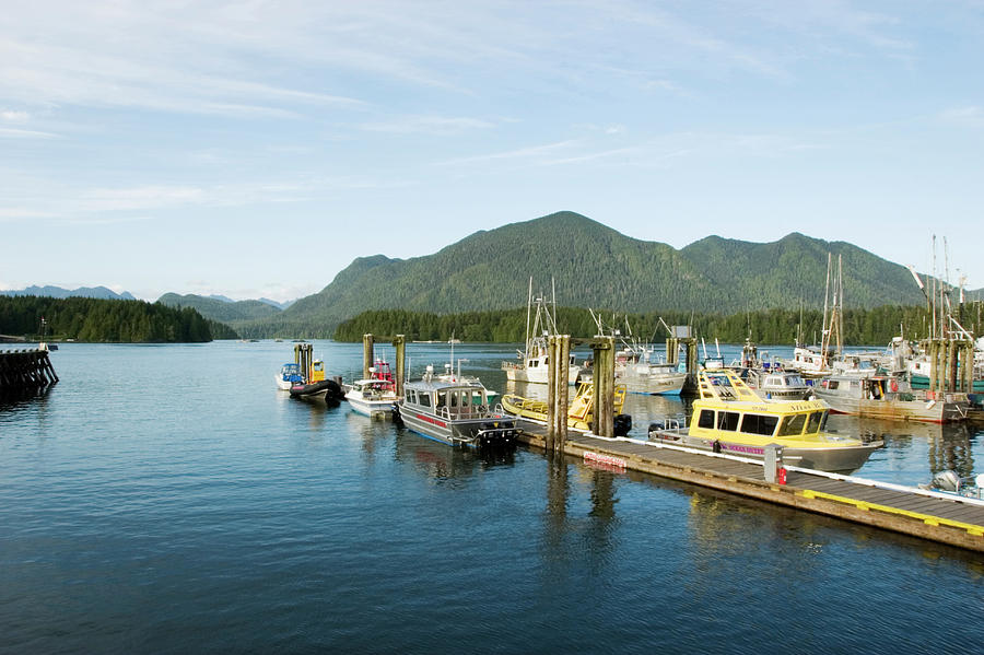 Summer Photograph - Tofino Harbour, Clayquot Sound by Henry Georgi