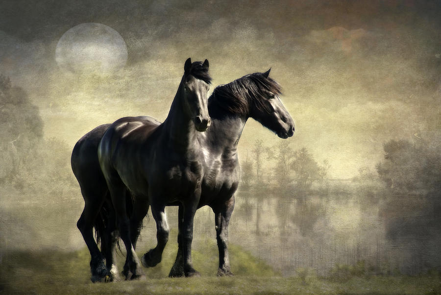 Together by Annie Snel Together by Annie Snel