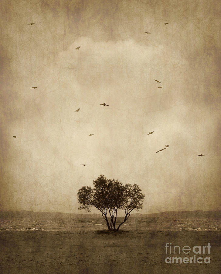 Tree Photograph - Together by Nicki P