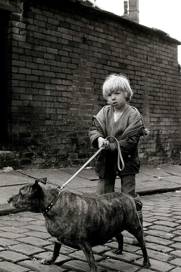 Dog Photograph - Togetherness  by Shaun Higson