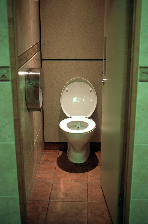 Bowl Photograph - Toilet Cubicle by Robert Brook/science Photo Library