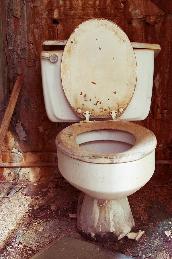 Toilet Grunge Photograph by Andipantz