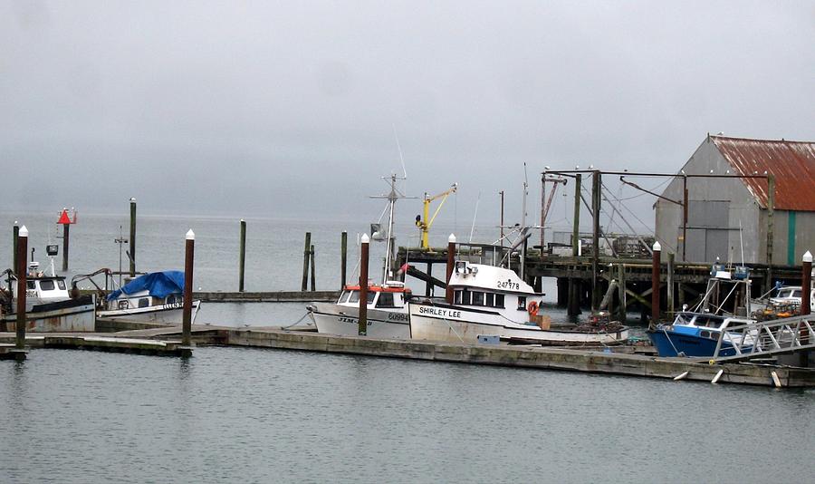 Tokeland Marina Photograph By Jim Romo