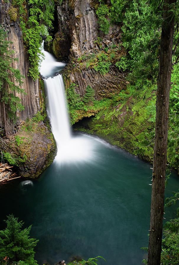 Toketee Falls Photograph by Greg Nyquist