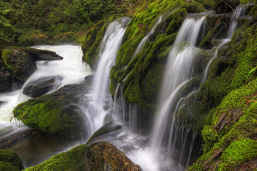 Tokul Creek Cascades Photograph by Mark Kiver