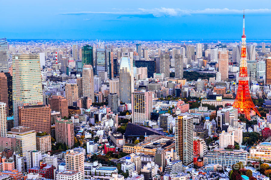 Tokyo - Japan Photograph by Luciano Mortula