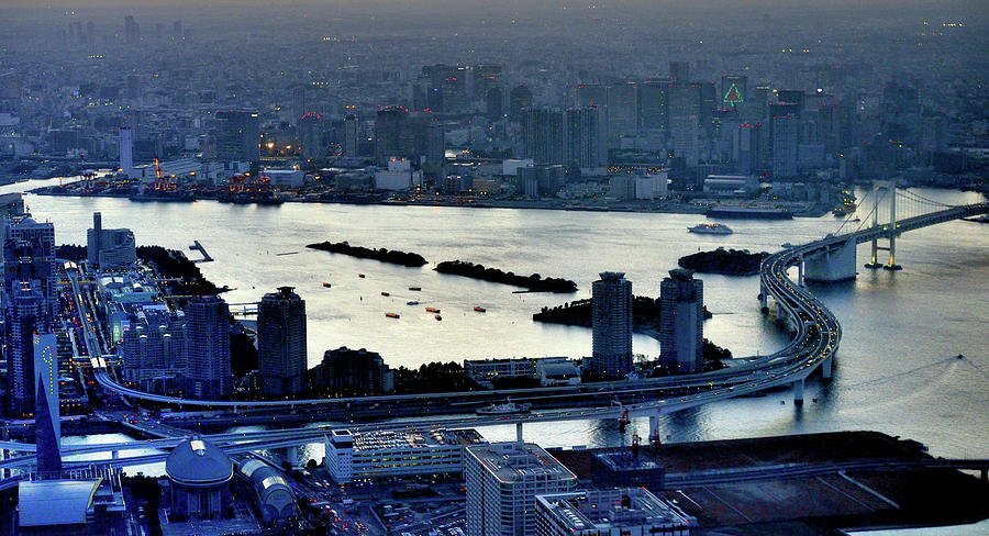 Tokyo Aerial  View At Twilight Photograph by Vladimir Zakharov