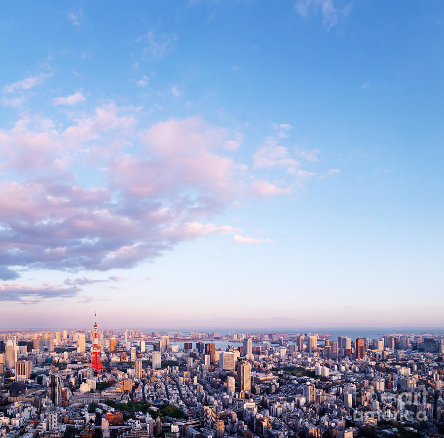 Tokyo City Scenery Under Blue Sky Photograph by Oleksiy Maksymenko