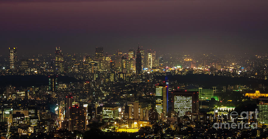 Skyline Photograph - Tokyo city Skyline by Fototrav Print