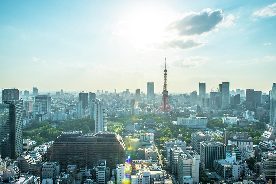 Tokyo City Skyline Photograph by Johnnygreig