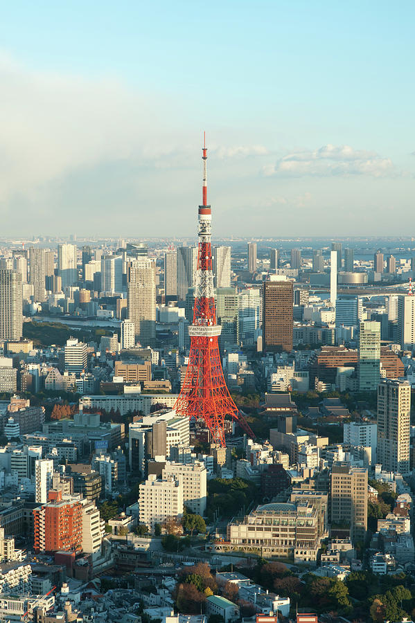 Tokyo City View Photograph by M.arai