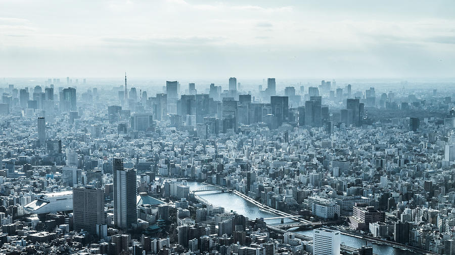 Tokyo Cityscape Photograph