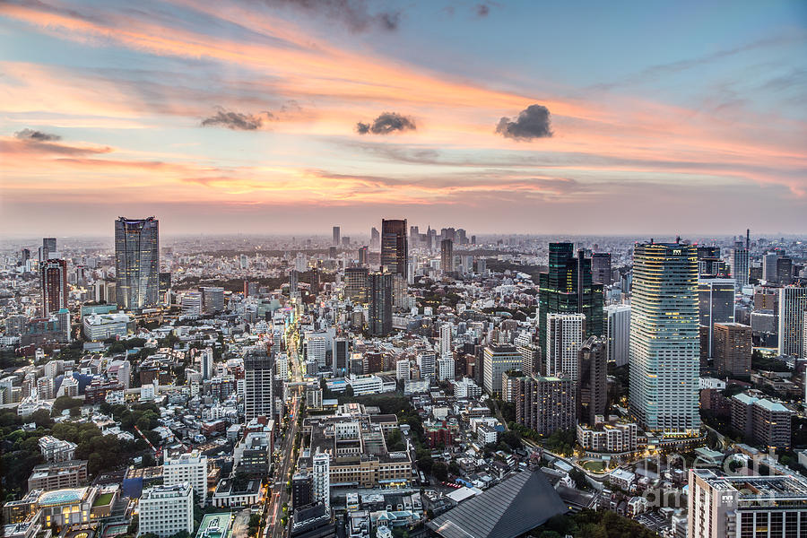 Tokyo cityscape Photograph by Didier Marti