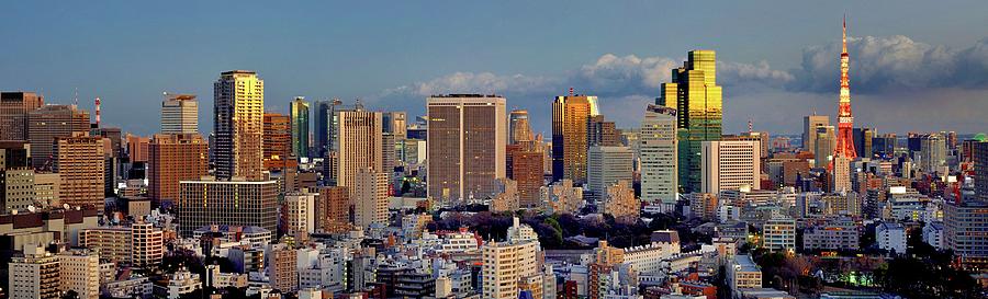 Tokyo Downtown Panorama At Sunset Photograph by Vladimir Zakharov