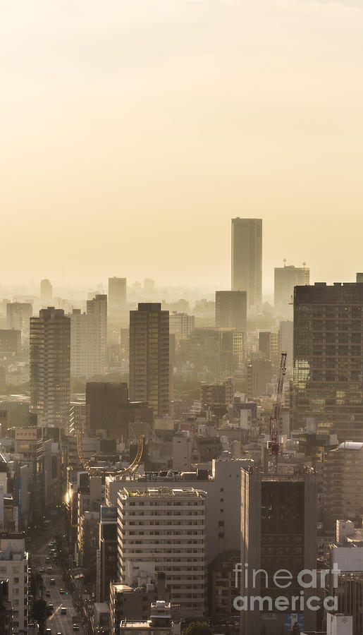 Tokyo hazy cityscape Photograph by Didier Marti