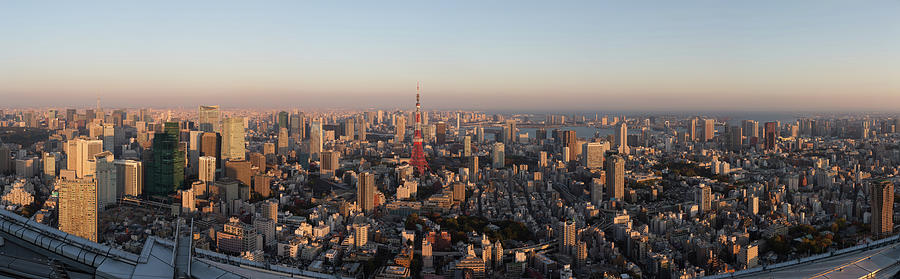Tokyo In The Setting Sun Photograph by Alexey Kopytko