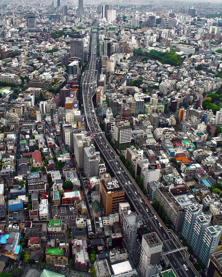 Tokyo Photograph by Mitch Cat