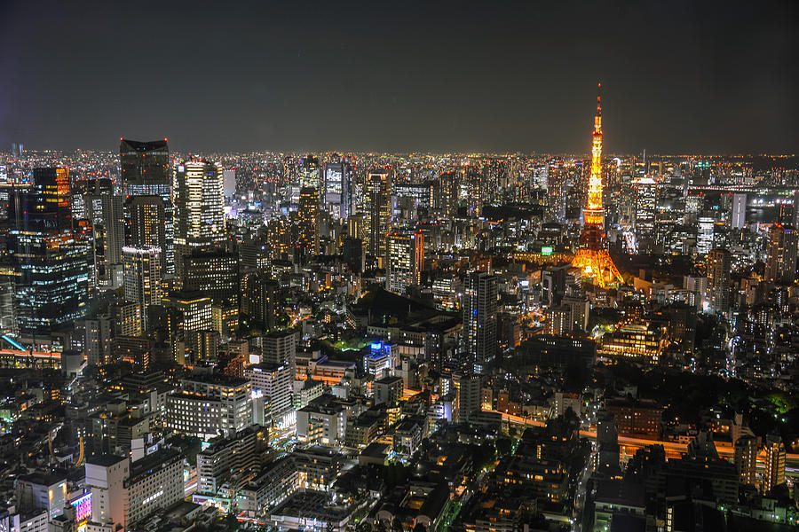 Tokyo nightview Photograph by Danya Ayesya - Fine Art America