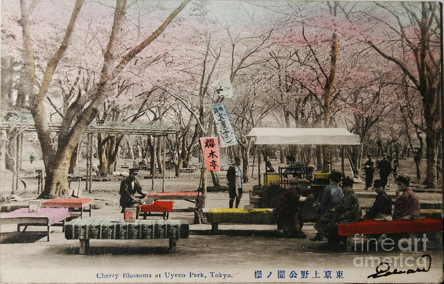 Tokyo park circa 1910 Photograph by Patricia Hofmeester