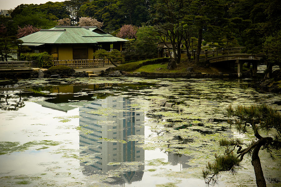 Tokyo Reflection Photograph by Sebastian Musial