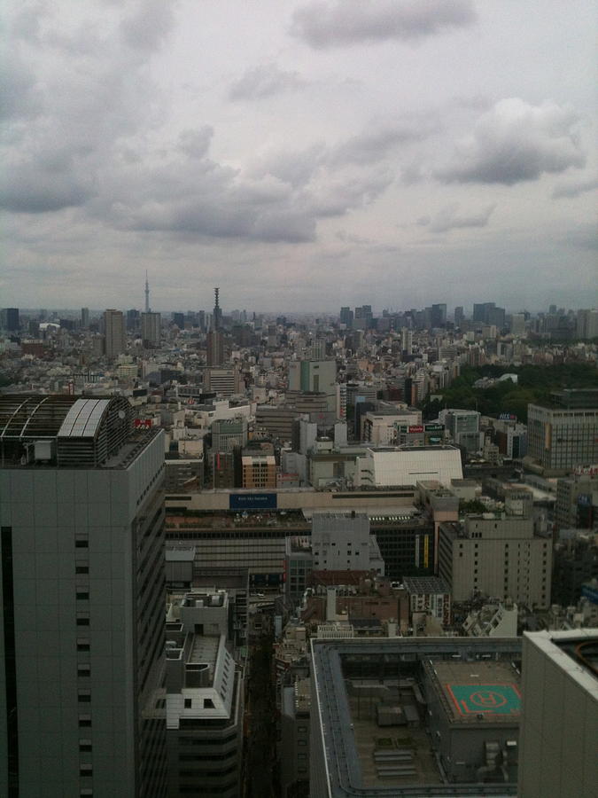 Jungle Photograph - Tokyo Rooftop by George Lamba