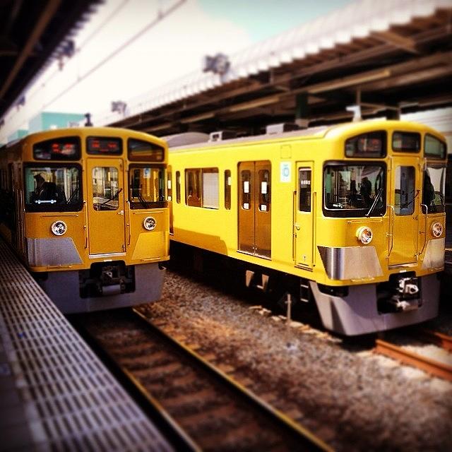 Train Photograph - #tokyo Seibu Line - #train #rail by Kenichi Iwai