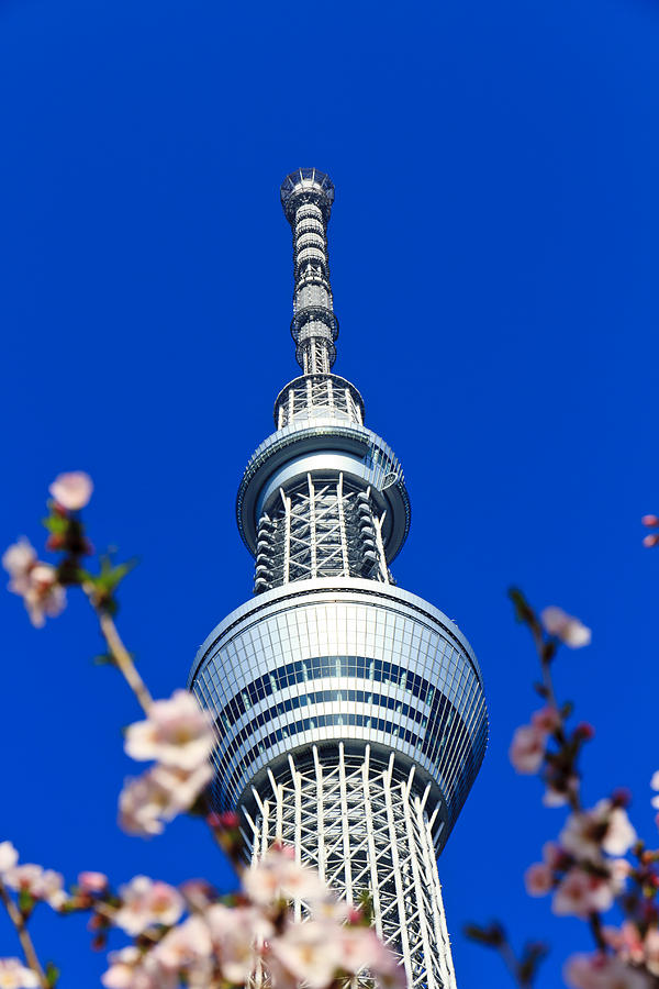 Tokyo Sky Tree tower Japan Photograph by Henry MM - Pixels