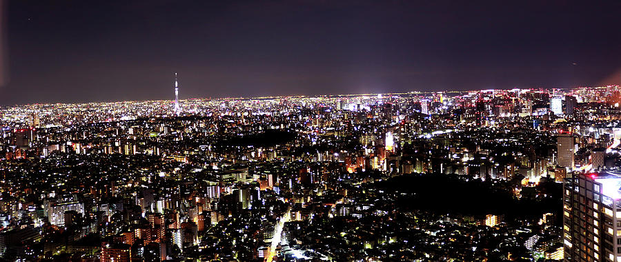Tokyo Skyline Photograph by Aashis Ghimire Photo