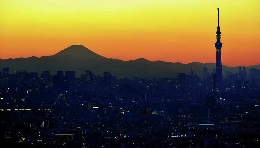 Tokyo Skyline At Sunset Photograph by Vladimir Zakharov