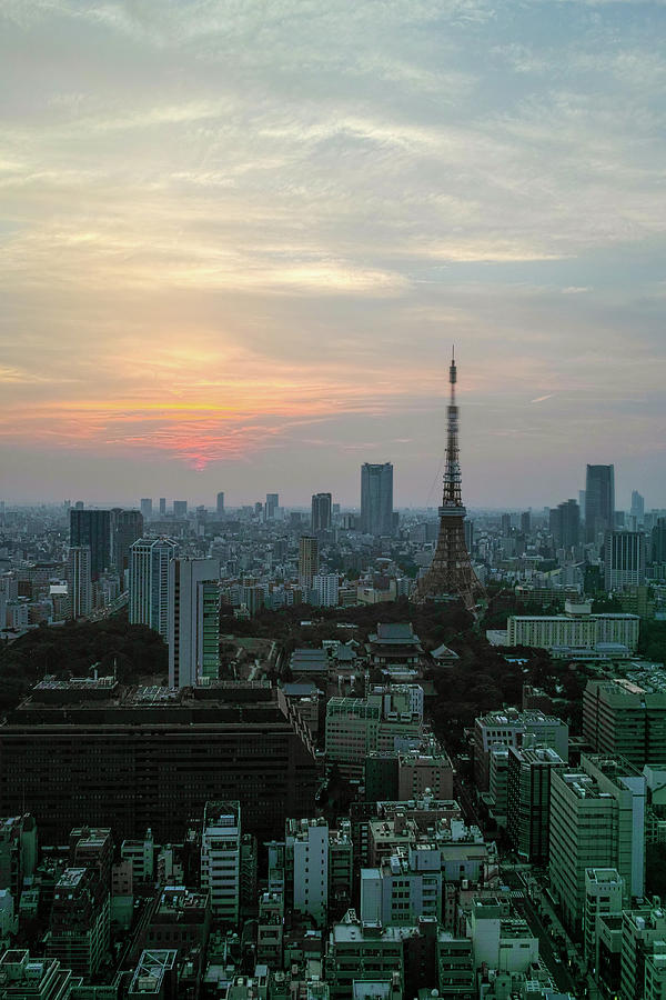 Tokyo Skyline At Twilight Photograph by I Love Photo And Apple.