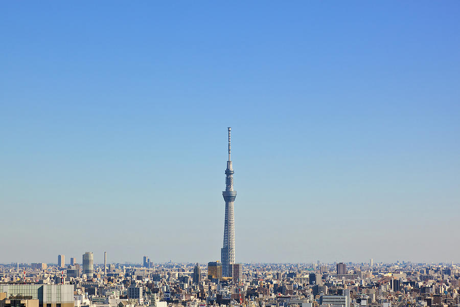 Tokyo Skyline Photograph by Tom Bonaventure