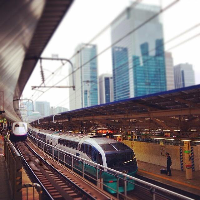 Train Photograph - #tokyo Station Emu 251 Series Super by Kenichi Iwai
