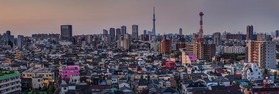 Tokyo Sunrise Skyline With Sky Tree Photograph by Sandro Bisaro