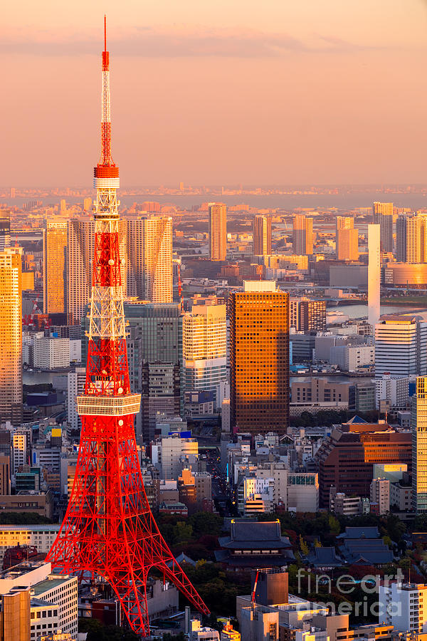 Tokyo Tower - Japan Photograph by Luciano Mortula