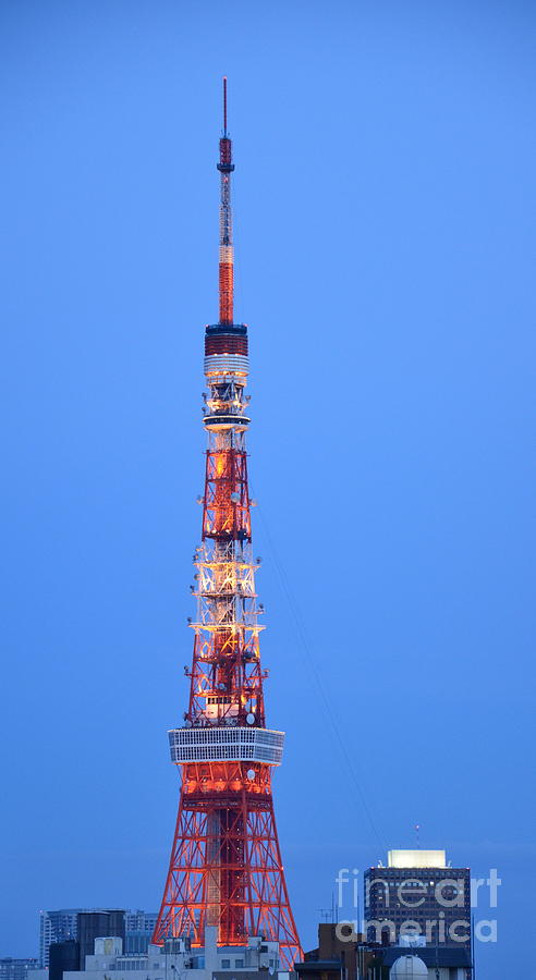 Tokyo Tower Photograph by Corinne Rhode