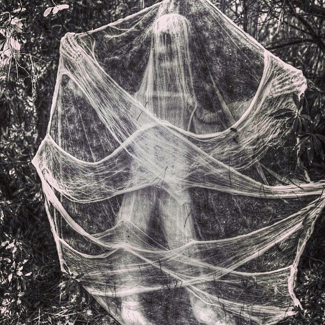 Told You The Spider Webs At My House Photograph by Heather Doyle