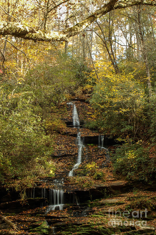 Tom Branch Falls Photograph by Patrick Shupert | Fine Art America