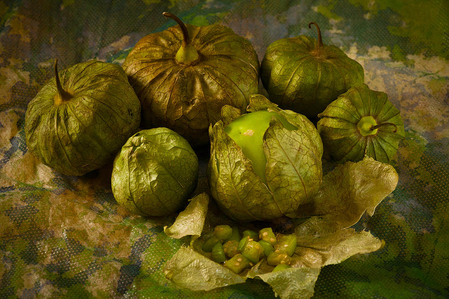 Tomatillos3656 Photograph by Matthew Pace