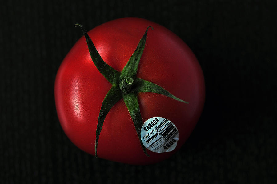 Tomato  Photograph by Dragan Kudjerski