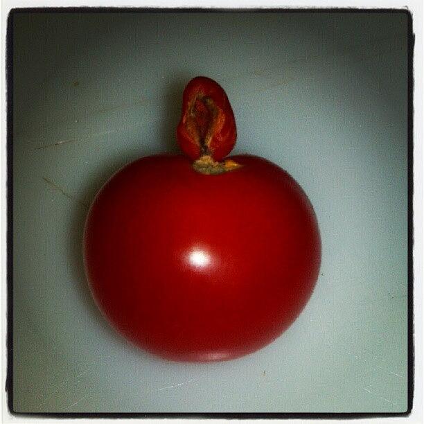 Food Photograph - Tomato #food #strange by Anne Simon