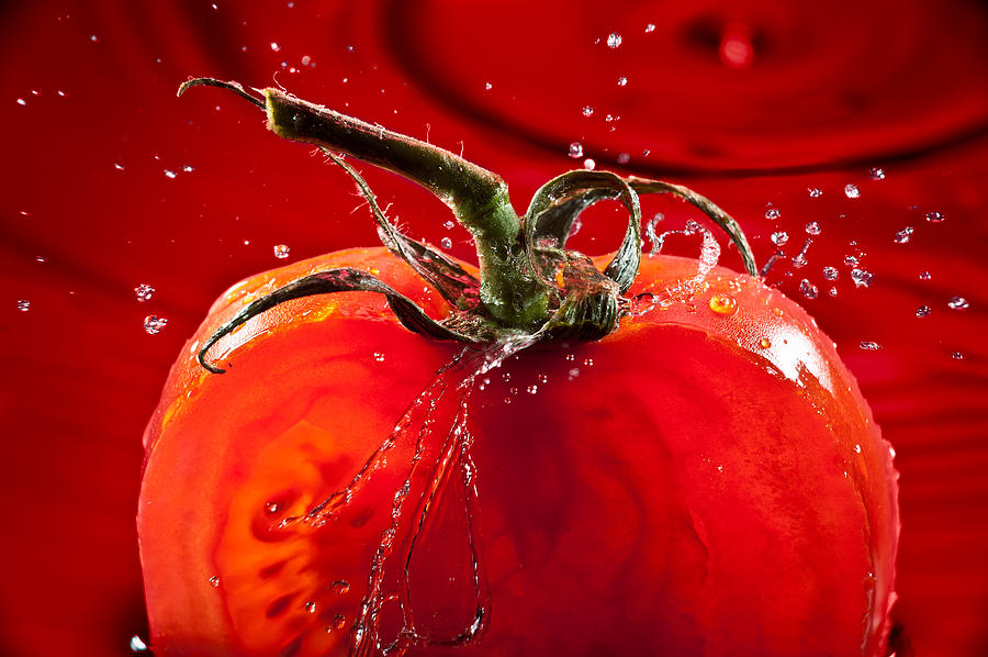 Tomato Photograph - Tomato FreshSplash 2 by Steve Gadomski