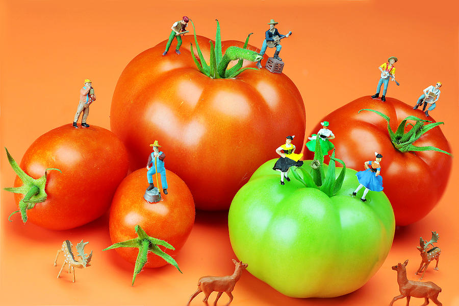 Tomato harvest little people on food Painting by Paul Ge