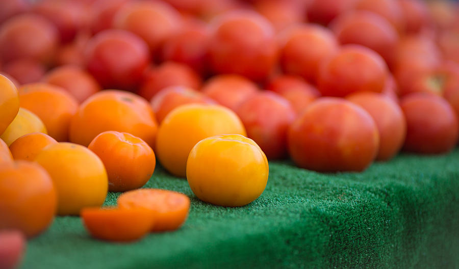 Tomato Hues Photograph by Matthew Onheiber