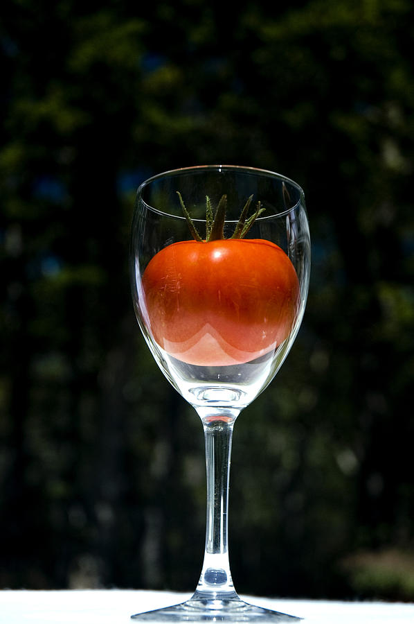Tomato Photograph - Tomato in Wine Glass by Steven Shapse