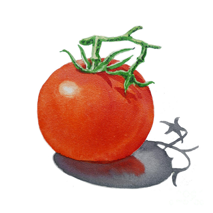 Tomato Painting by Irina Sztukowski
