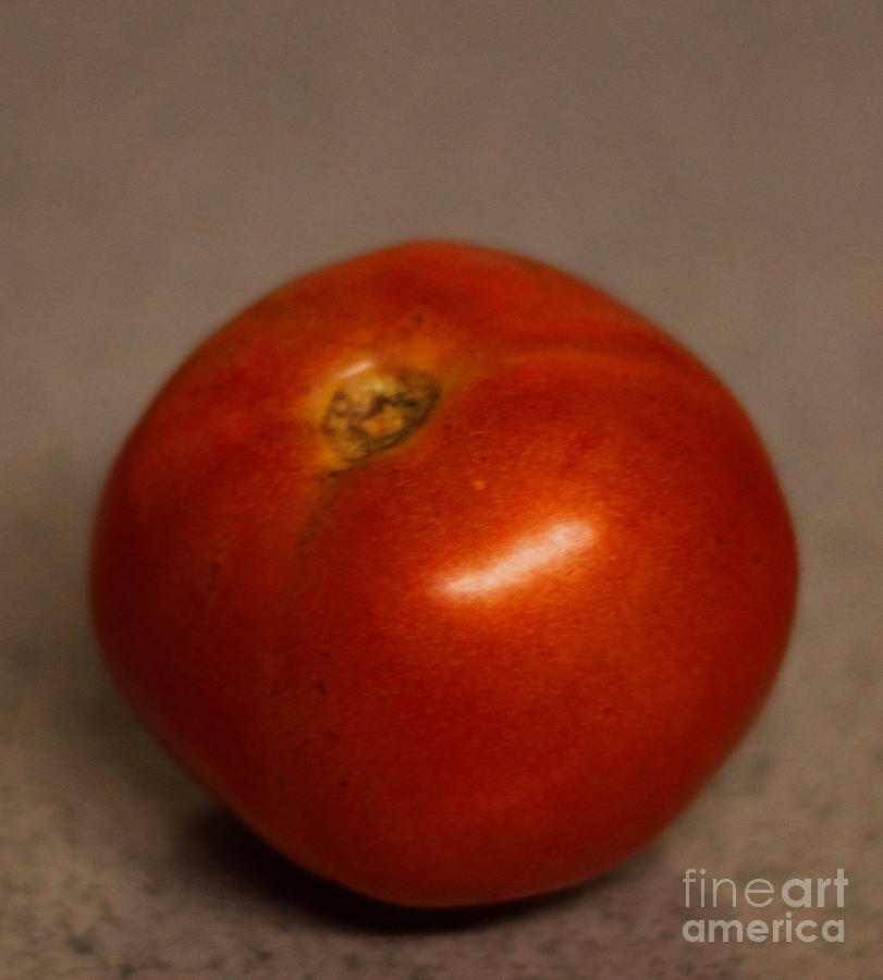 Tomato Photograph