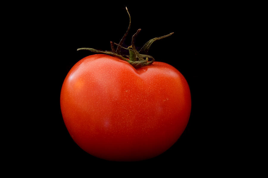 Tomato on Black Photograph by Jeremy Voisey