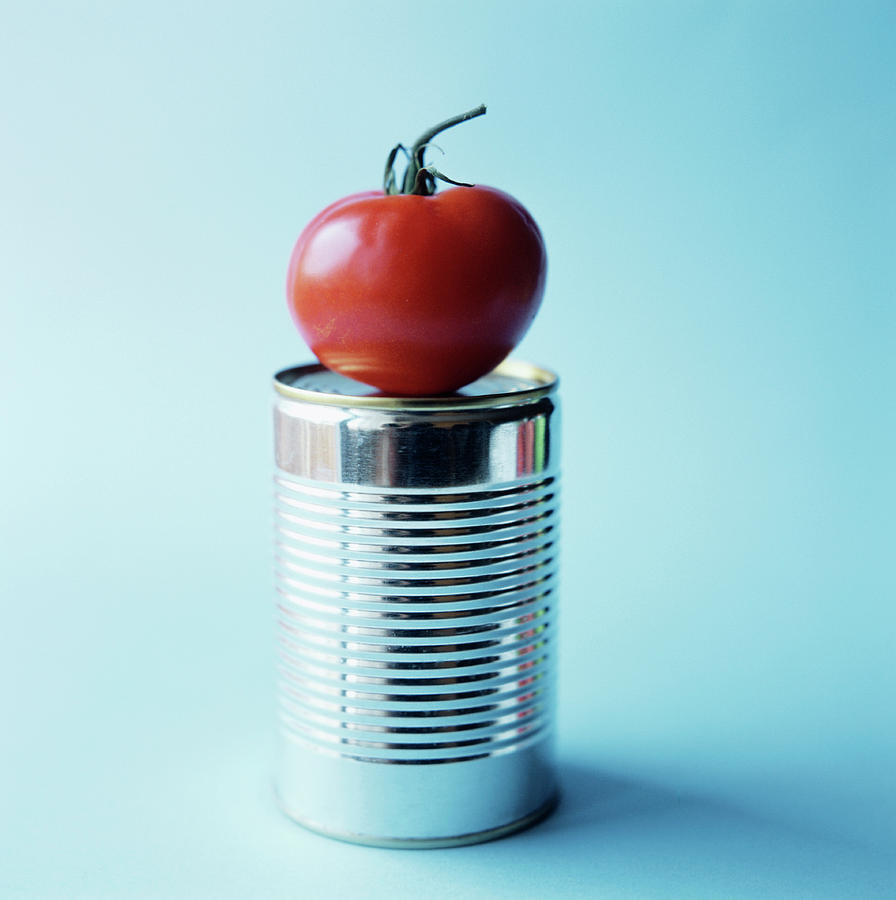 Tomato On Steel Can Photograph by Cristina Pedrazzini/science Photo Library
