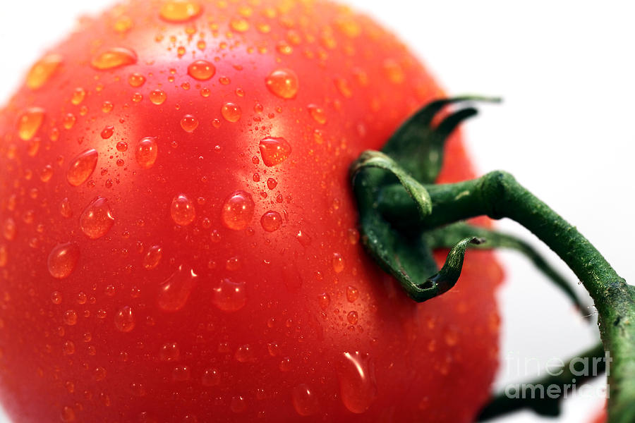 Tomato Side Photograph by John Rizzuto