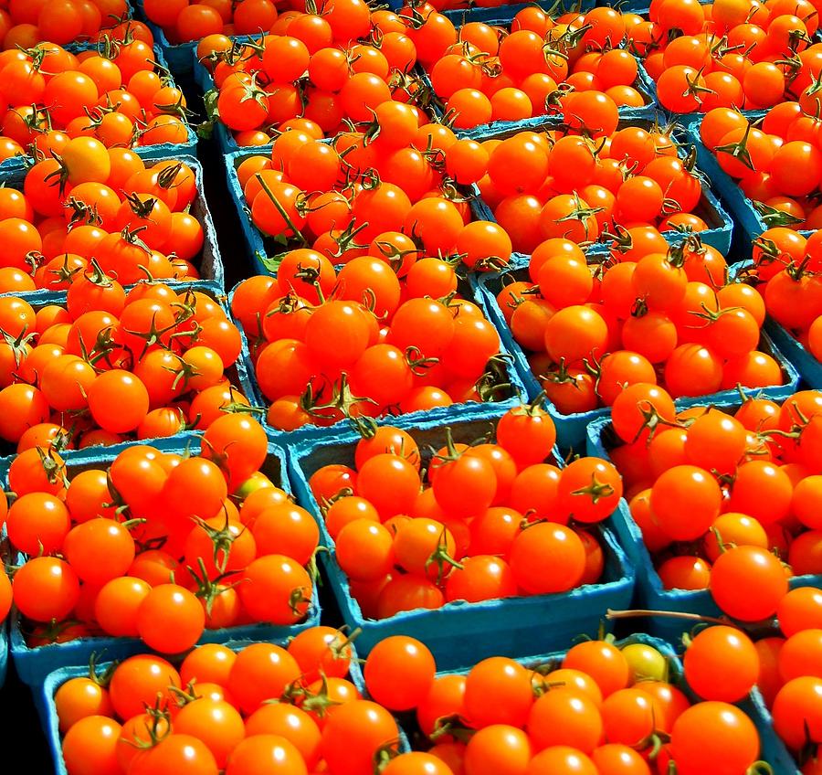 Tomato Photograph - Tomato Squares by Mamie Gunning
